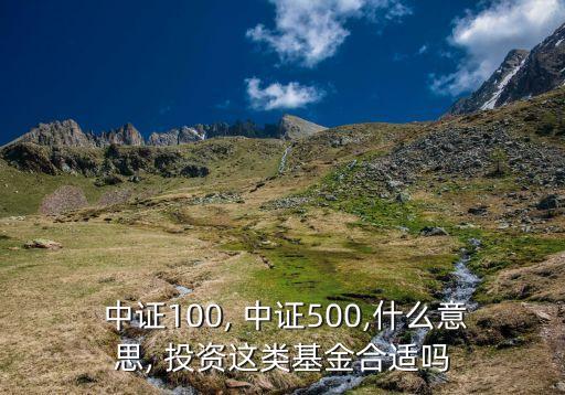  中證100, 中證500,什么意思, 投資這類(lèi)基金合適嗎