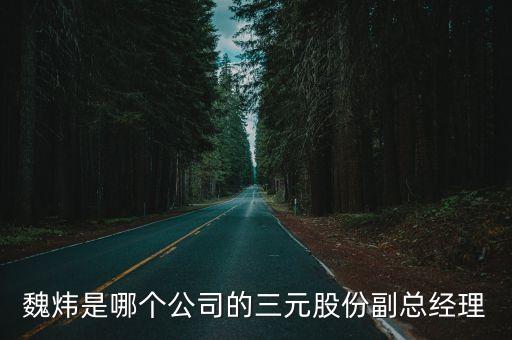 魏煒是哪個(gè)公司的三元股份副總經(jīng)理