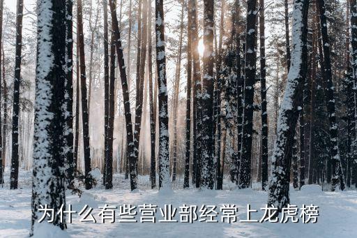 魯銀投資為什么停盤(pán)