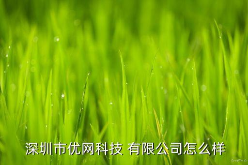  深圳市優(yōu)網(wǎng)科技 有限公司怎么樣