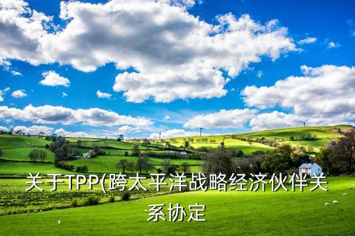 關于TPP(跨太平洋戰(zhàn)略經濟伙伴關系協(xié)定