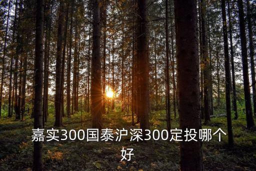  嘉實(shí)300國泰滬深300定投哪個好