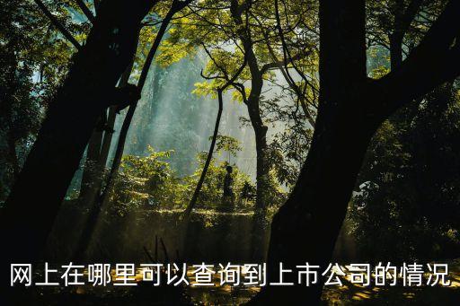 網上在哪里可以查詢到上市公司的情況