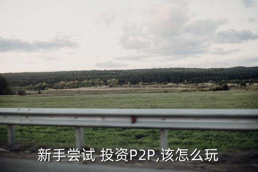 新手嘗試 投資P2P,該怎么玩