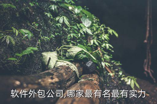 軟件外包公司,哪家最有名最有實(shí)力