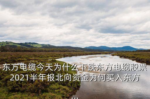 東方電纜今天為什么下跌東方電纜股票2021半年報(bào)北向資金為何買(mǎi)入東方...