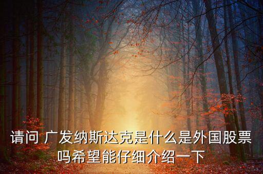 請問 廣發(fā)納斯達(dá)克是什么是外國股票嗎希望能仔細(xì)介紹一下