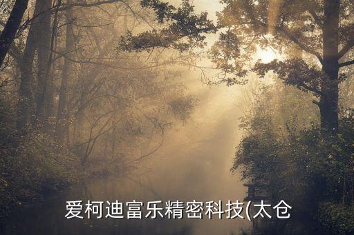  愛柯迪富樂精密科技(太倉