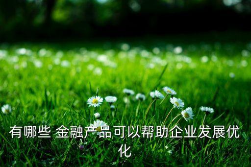 有哪些 金融產(chǎn)品可以幫助企業(yè)發(fā)展優(yōu)化