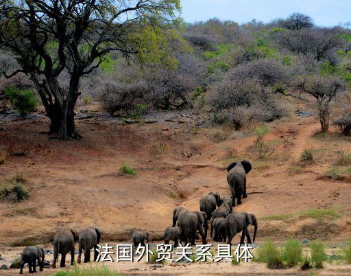 中國(guó)第三大投資國(guó),非洲前三大投資來源國(guó)