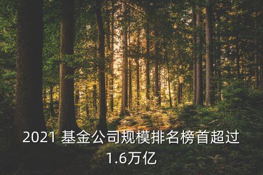 第八屆金?；鸺敖鹋；鸸精@獎(jiǎng)名單