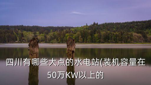 四川有哪些大點(diǎn)的水電站(裝機(jī)容量在50萬(wàn)KW以上的