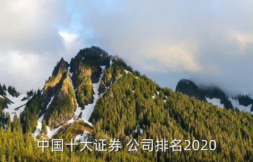 中國十大證券 公司排名2020