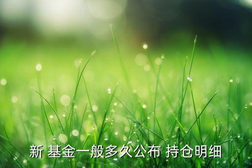 新 基金一般多久公布 持倉(cāng)明細(xì)