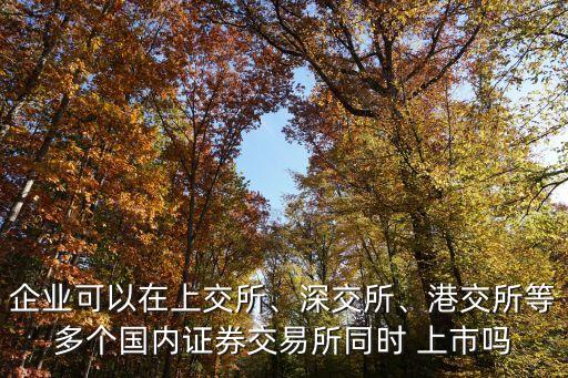 企業(yè)可以在上交所、深交所、港交所等多個(gè)國(guó)內(nèi)證券交易所同時(shí) 上市嗎