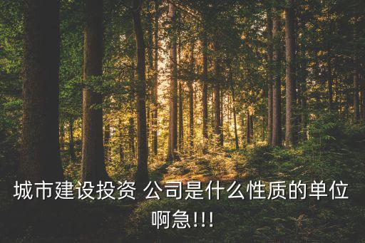 城市建設投資 公司是什么性質(zhì)的單位啊急!!!