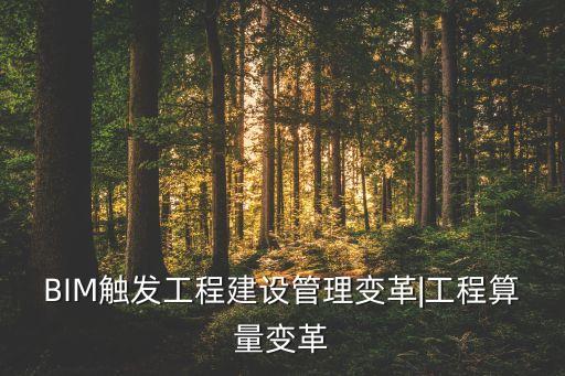 BIM觸發(fā)工程建設(shè)管理變革|工程算量變革