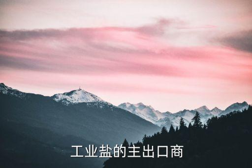  工業(yè)鹽的主出口商