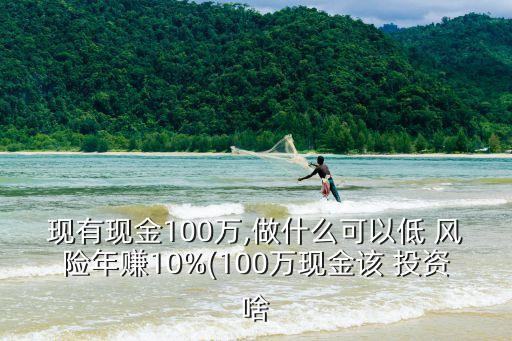 現(xiàn)有現(xiàn)金100萬,做什么可以低 風(fēng)險(xiǎn)年賺10%(100萬現(xiàn)金該 投資啥