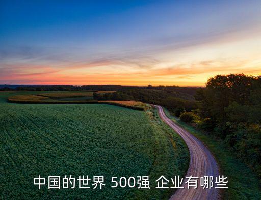 中國的世界 500強(qiáng) 企業(yè)有哪些