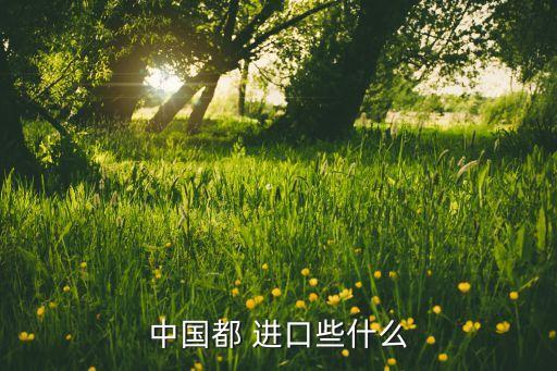 中國都 進口些什么