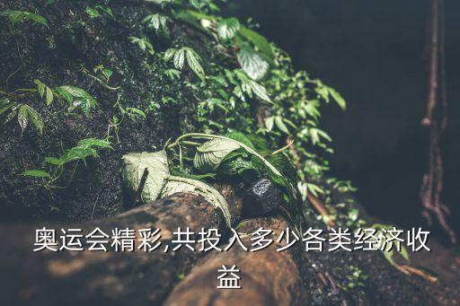 北京奧運(yùn)會(huì)預(yù)算