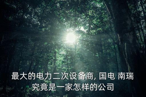 最大的電力二次設(shè)備商, 國電 南瑞究竟是一家怎樣的公司