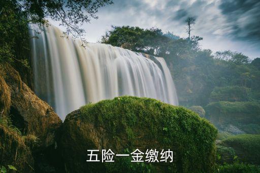 五險(xiǎn)一金繳納