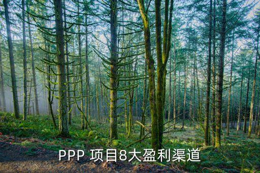 PPP 項目8大盈利渠道