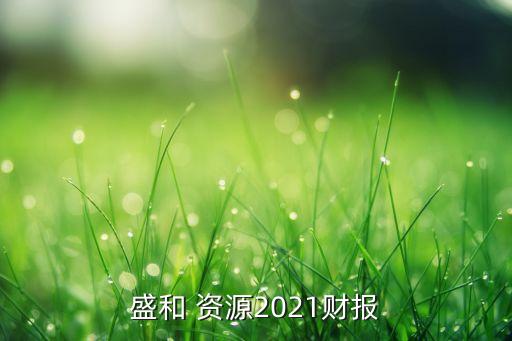 盛和 資源2021財報