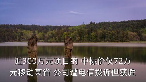 近300萬元項(xiàng)目的 中標(biāo)價(jià)僅72萬元移動某省 公司遭電信投訴但獲勝