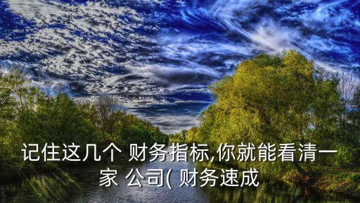 記住這幾個 財務(wù)指標(biāo),你就能看清一家 公司( 財務(wù)速成