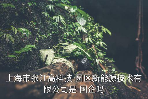 大變局下的上海園區(qū)開發(fā)類國企的危與機(jī)