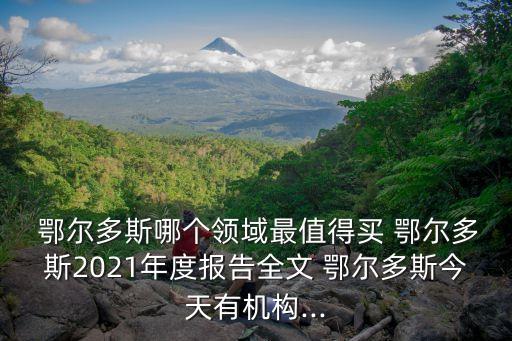  鄂爾多斯哪個領(lǐng)域最值得買 鄂爾多斯2021年度報告全文 鄂爾多斯今天有機構(gòu)...