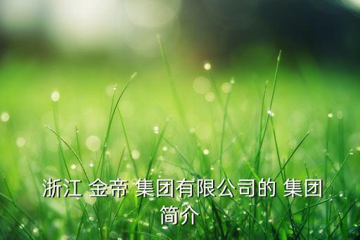 浙江金帝集團(tuán)董事長(zhǎng)盧斯侃