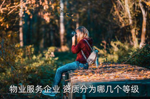 物業(yè)服務(wù)企業(yè) 資質(zhì)分為哪幾個(gè)等級(jí)