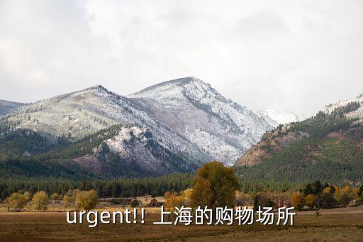 urgent!! 上海的購物場所