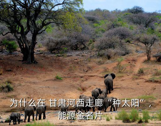 為什么在 甘肅河西走廊“種太陽(yáng)”,能源金名片