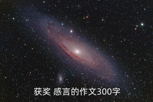  獲獎 感言的作文300字