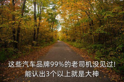 野馬公司高層,新疆烏魯木齊市野馬公司