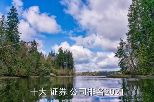 十大 證券 公司排名2021