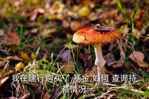 我在建行購買了 基金,如何 查詢持有情況