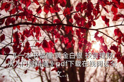 《一本書讀懂 黃金白銀 投資理財(cái):從入門到精通》pdf下載在線閱讀全文...