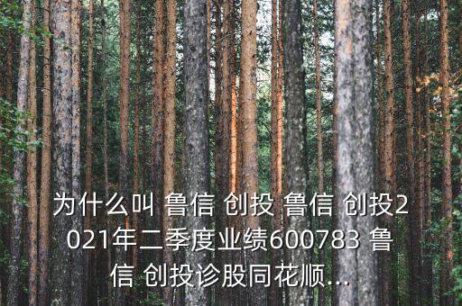 為什么叫 魯信 創(chuàng)投 魯信 創(chuàng)投2021年二季度業(yè)績600783 魯信 創(chuàng)投診股同花順...