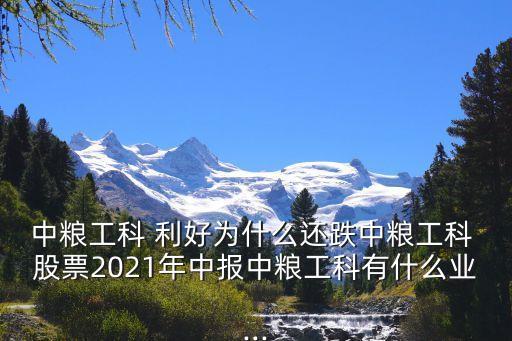 中糧工科 利好為什么還跌中糧工科 股票2021年中報(bào)中糧工科有什么業(yè)...