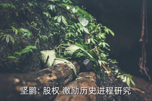 堅鵬: 股權(quán) 激勵歷史進(jìn)程研究