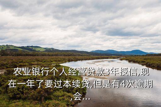  農業(yè)銀行個人經營貸款3年授信,現在一年了要過本續(xù)貸,但是有4次逾期,會...