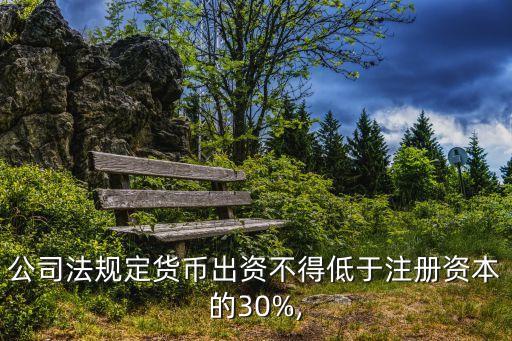 公司法規(guī)定貨幣出資不得低于注冊(cè)資本的30%,