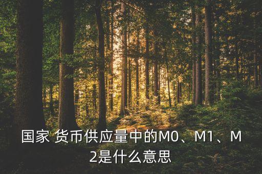 國(guó)家 貨幣供應(yīng)量中的M0、M1、M2是什么意思