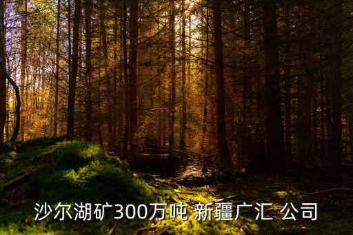 沙爾湖礦300萬(wàn)噸 新疆廣匯 公司